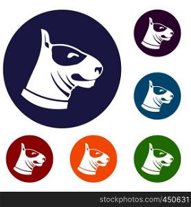 Bull terrier dog icons set in flat circle reb, blue and green color for web. Bull terrier dog icons set