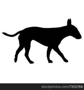 Bull terrier dog silhouette on a white background.. Bull terrier dog silhouette on a white background