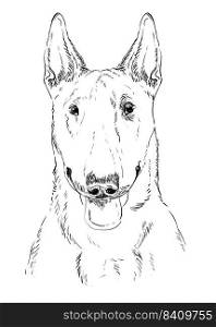 Bull Terrier hand drawing dog vector isolated illustration on white background. Realistic cute funny dog looking into the camera. For print, design, T-shirt, sublimation, decor, coloring, poster, card. Bull Terrier hand drawing dog vector isolated illustration