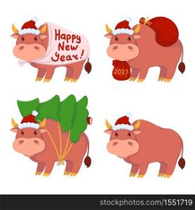 Bull with gifts, carries the Christmas tree. Year of the ox. Happy Cows set. New year and merry christmas vector illustration. Chinese zodiac symbol of the year 2021.