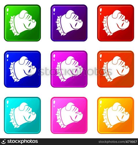 Bulldog dog icons of 9 color set isolated vector illustration. Bulldog dog icons 9 set