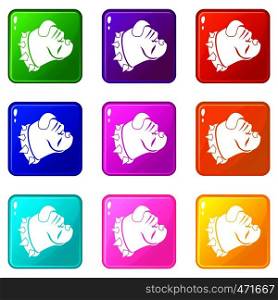 Bulldog dog icons of 9 color set isolated vector illustration. Bulldog dog icons 9 set