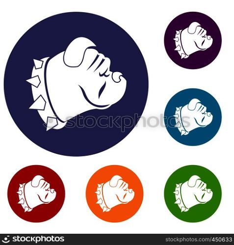 Bulldog dog icons set in flat circle reb, blue and green color for web. Bulldog dog icons set