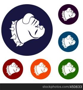 Bulldog dog icons set in flat circle reb, blue and green color for web. Bulldog dog icons set