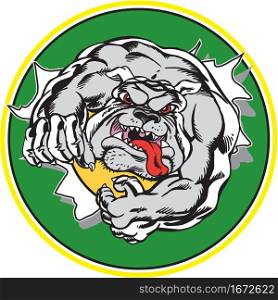 Bulldog Mascot Busting Out Front Vector Illustration