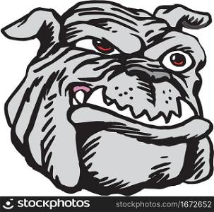 Bulldog Mascot Head Vector Illustration