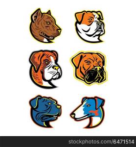 Bulldogs and Terriers Mascot Dog Collection. Mascot icon illustration set of heads of bulldogs and terriers like the Spanish Bulldog or Alano Espanol, American Bulldog, Boxer dog, Bullmastiff, Leavitt Bulldog and the Smooth Fox terrier viewed from on isolated background in retro style.. Bulldogs and Terriers Mascot Dog Collection