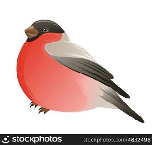 Bullfinch bird on a white background. Vector illustration.