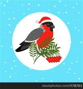Bullfinch bird with Christmas Santa hat and rowan branch, vector illustration. Bullfinch bird with Santa hat