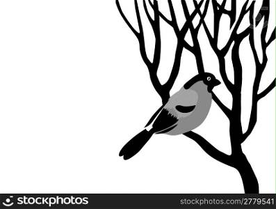 bullfinch silhouette on wood branch, vector illustration