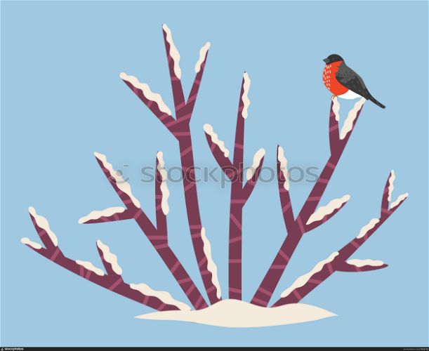 Bullfinch sitting on snow bush, nature and environment, seasonal landscape vector. Wild bird sitting on bare branch, park or forest element, woods flora. Cold season and snowy weather illustration. Winter Landscape, Bullfinch Sitting on Snow Bush
