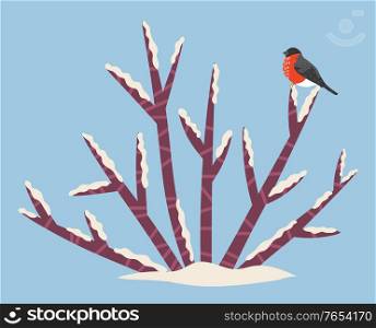 Bullfinch sitting on snow bush, nature and environment, seasonal landscape vector. Wild bird sitting on bare branch, park or forest element, woods flora. Cold season and snowy weather illustration. Winter Landscape, Bullfinch Sitting on Snow Bush