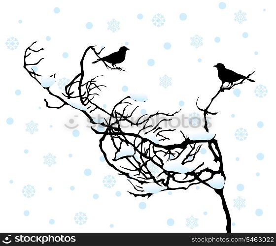 Bullfinches on a branch2. Two birdies sit on a branch in the winter. A vector illustration