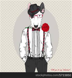 bullterrier gentleman with a rose