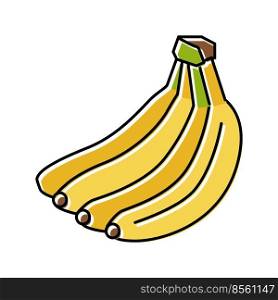 bunch banana color icon vector. bunch banana sign. isolated symbol illustration. bunch banana color icon vector illustration