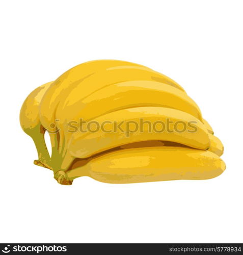 Bunch of bananas isolated on white background. Vector illustration.