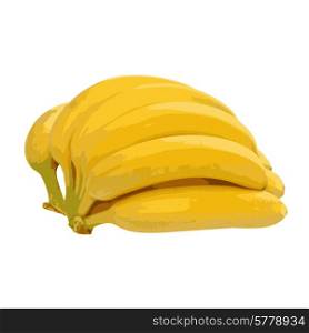 Bunch of bananas isolated on white background. Vector illustration.
