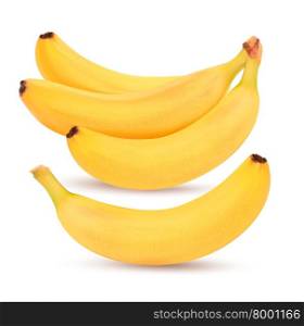 Bunch of bananas. Vector illustration.