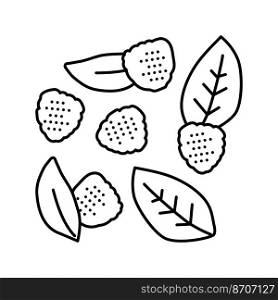 bunch of blackberries ripe leaf line icon vector. bunch of blackberries ripe leaf sign. isolated contour symbol black illustration. bunch of blackberries ripe leaf line icon vector illustration