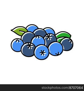 bunch of blueberries leaf color icon vector. bunch of blueberries leaf sign. isolated symbol illustration. bunch of blueberries leaf color icon vector illustration