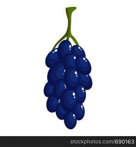 Bunch of grape icon. Cartoon illustration of bunch of grape vector icon for web. Bunch of grape icon, cartoon style