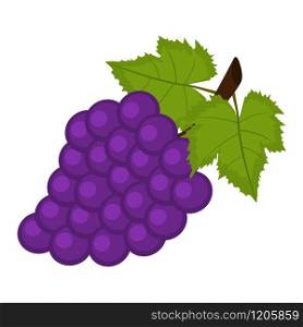 bunch of grapes on a white background
