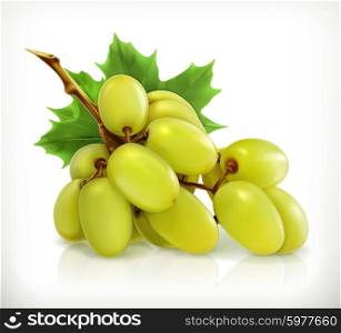 Bunch of grapes, vector icon