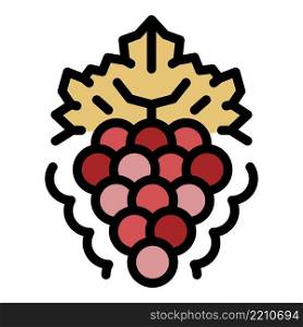 Bunch of grapes with leaf icon. Outline bunch of grapes with leaf vector icon color flat isolated. Bunch of grapes with leaf icon color outline vector