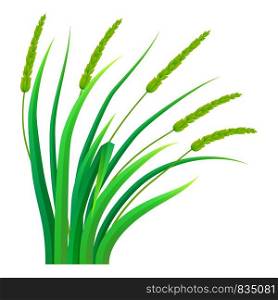 Bunch of grass icon. Realistic illustration of bunch of grass vector icon for web design isolated on white background. Bunch of grass icon, realistic style