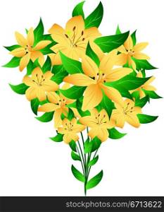 bunch of lillies