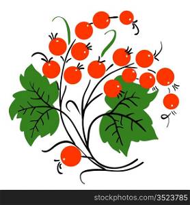 Bunch of red currant. Ripe berry. Vector