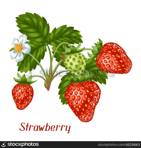 Bunch of red strawberries. Decorative berries and leaves. Bunch of red strawberries. Decorative berries and leaves.
