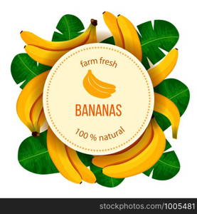 Bunch of Ripe bananas with leaves on white background. round badge. Side view. Copy space. Close up. vector illustration. for cooking, cosmetics, Herbal medicine, health care, ointments perfumery. Bunch of Ripe bananas with leaves on white background. round badge. Side view. Copy space.