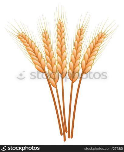 bunch of vector wheat ears