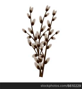 Bunch of willow twigs isolated on white background. Symbolic tree branches vector illustration. Easter celebration natural attribute. Plant that used in religious ceremonies of Christianity.. Bunch of Willow Twigs Isolated Illustration
