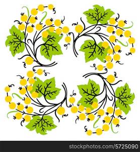 Bunch of yellow currant. Ripe berry. Vector