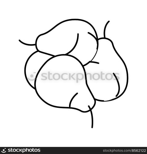 bunch pears line icon vector. bunch pears sign. isolated contour symbol black illustration. bunch pears line icon vector illustration