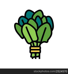 bunch spinach color icon vector. bunch spinach sign. isolated symbol illustration. bunch spinach color icon vector illustration