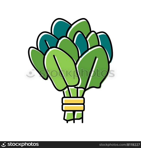 bunch spinach color icon vector. bunch spinach sign. isolated symbol illustration. bunch spinach color icon vector illustration