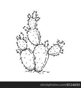 bunny ears cactus sketch hand drawn vector green succulent. garden cacti. easter plant vintage black line illustration. bunny ears cactus sketch hand drawn vector