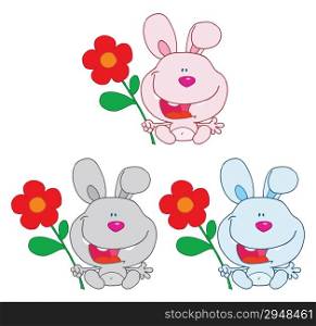 Bunny Rabbit Holding A Flower Collection