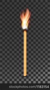 burning charred wooden match with flame vector illustration isolated on white background