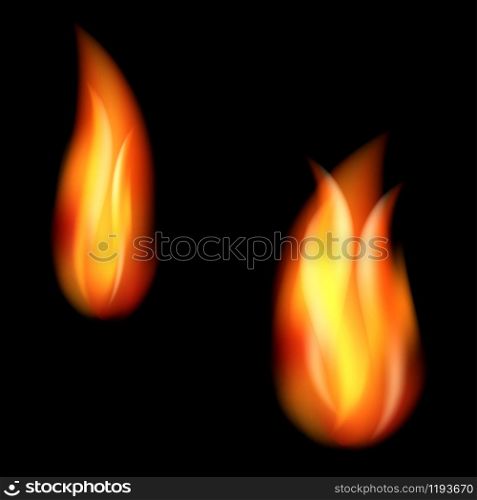 Burning fire flames on black background.. Burning fire flames on black background
