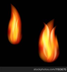 Burning fire flames on black background.. Burning fire flames on black background