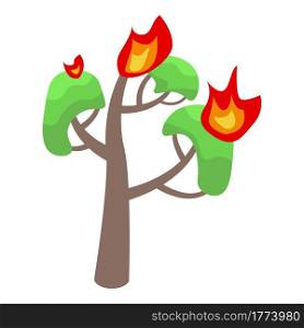 Burning oak icon. Isometric of Burning oak vector icon for web design isolated on white background. Burning oak icon, isometric style