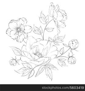 Bush of beautiful peonies, ink engraving. Vector illustration.
