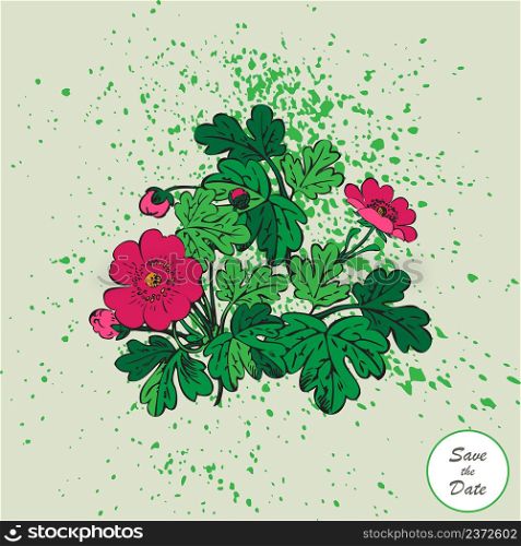 Bush of flowers on white background. Drawn pink hibiscus flowers and green foliage, artistic vector illustration. Floral botanical trendy pattern with watercolor splatter. Grafic design, greeting card