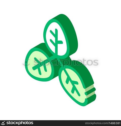 Bush Offshoot Plant Leaves vector isometric sign. color isolated symbol illustration. Bush Offshoot Plant Leaves Vector Thin Line Icon