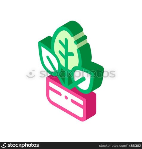 Bush Plant Leaves In Pot vector isometric sign. color isolated symbol illustration. Bush Plant Leaves In Pot Vector Thin Line Icon