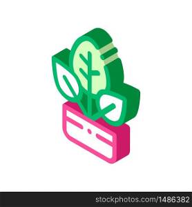 Bush Plant Leaves In Pot vector isometric sign. color isolated symbol illustration. Bush Plant Leaves In Pot Vector Thin Line Icon